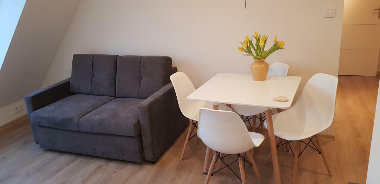 Apartment Starowka